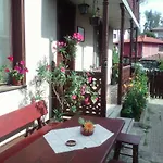 Guest Dona Koprivštica