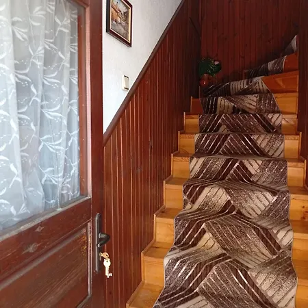 Guest Dona Koprivštica