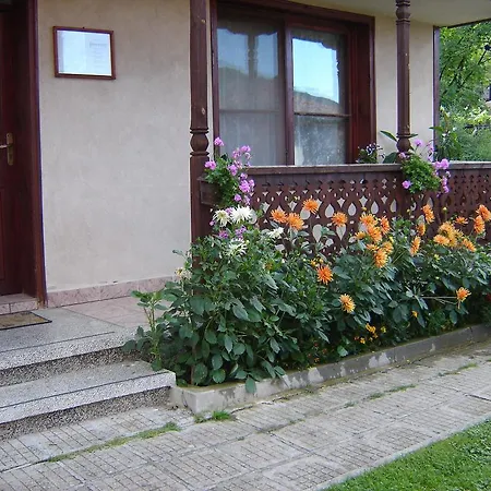 Guest Dona 2* Koprivștița