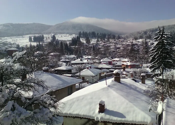 Guest Dona Casa de hóspedes 2*